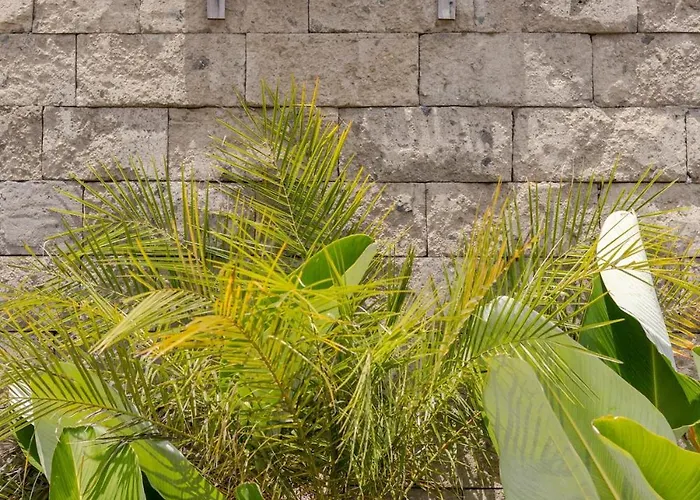 Villa Temuku
