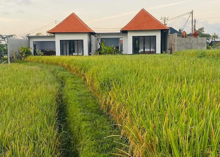 Temuku Villa *