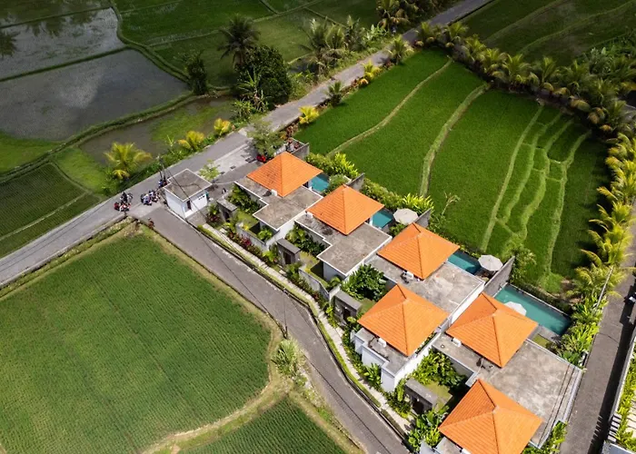 Temuku * Ubud